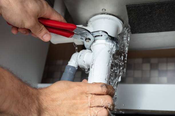 Best Water damage restoration mold remediation  in Seeley Lake, MT