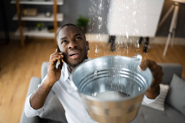 Best Carpet water damage restoration  in Seeley Lake, MT