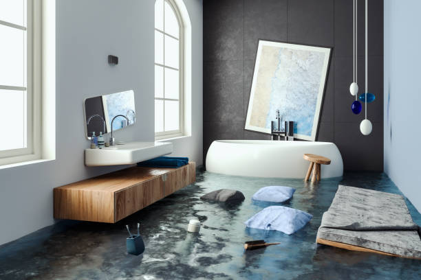 Best Flood damage cleanup  in Seeley Lake, MT