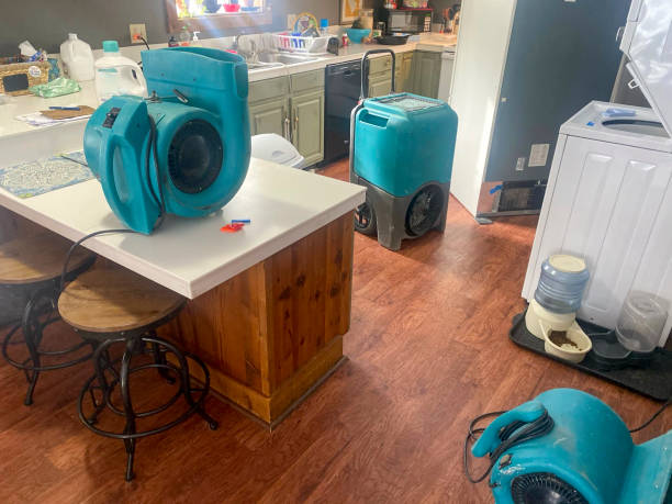 Water damage restoration mold remediation in MT