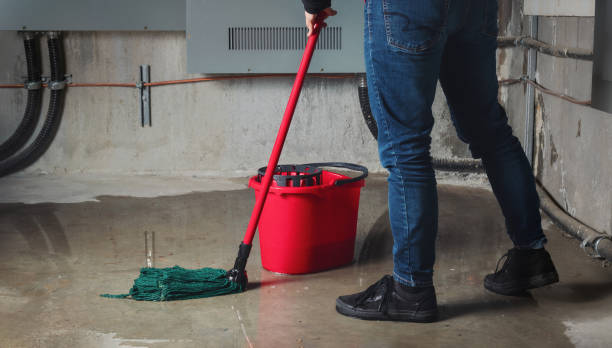 Best Ceiling water damage repair  in Seeley Lake, MT