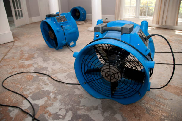 , MT Water damage restoration Company