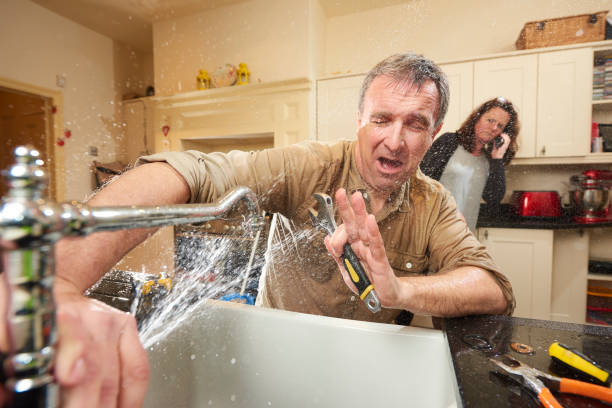 Best Commercial water damage restoration  in Seeley Lake, MT